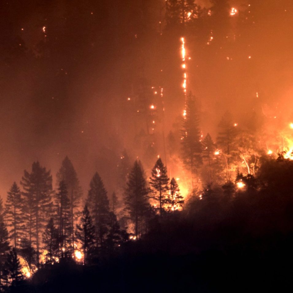 01f36094-b169-408b-a61c-9d0175ab005f